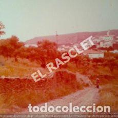 Antique Photography: ANTIGUA FOTO DE CADAQUES-3- DE MEDIDAS 11X9 CTMS