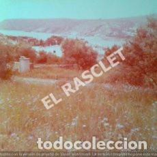 Antique Photography: ANTIGUA FOTO DE CADAQUES-3- DE MEDIDAS 11X9 CTMS