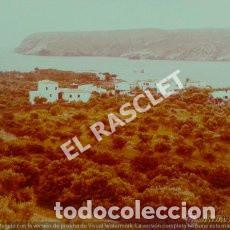 Photographie ancienne: ANTIGUA FOTO DE CADAQUES-2- DE MEDIDAS 13X9 CTMS