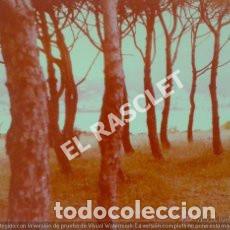 Fotografia antiga: ANTIGUA FOTO DE CADAQUES-2- DE MEDIDAS 13X9 CTMS