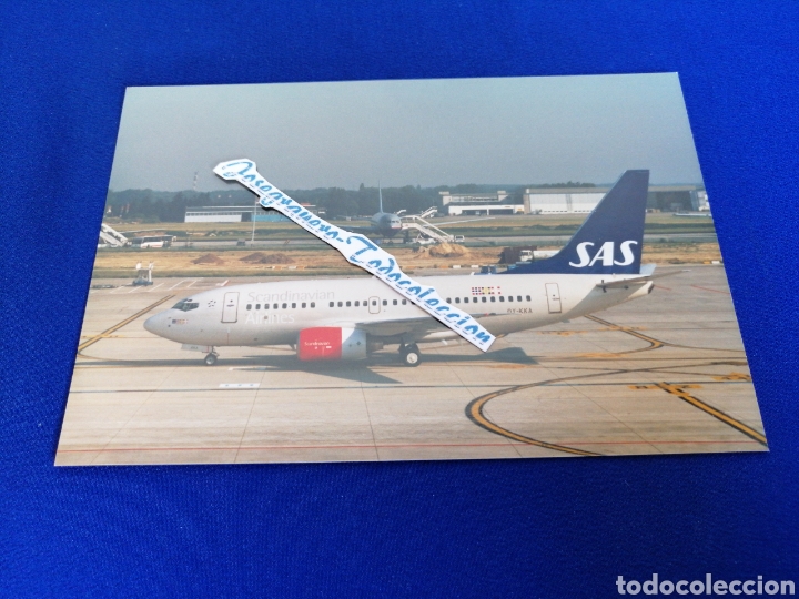 Fotografia antica: AVION EN PISTA SCANDINAVIAN AIRLINES FOTOGRAFIA