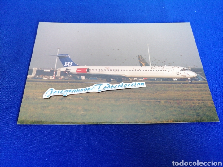 Photographie ancienne: AVION EN PISTA SCANDINAVIAN AIRLINES FOTOGRAFIA AEROPUERTO CON P&Aacute;JAROS