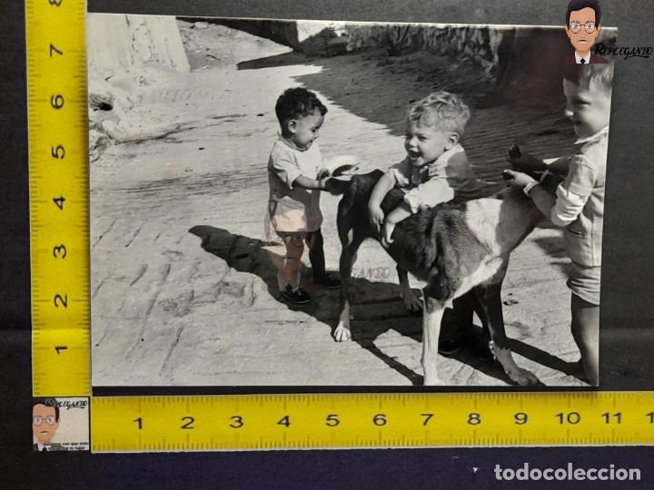 Antique Photography: NI&Ntilde;OS JUGANDO CON UN PERRO - FOTO ANTIGUA EN BLANCO Y NEGRO - A&Ntilde;OS 60/70 - NI&Ntilde;OS SONRIENDO