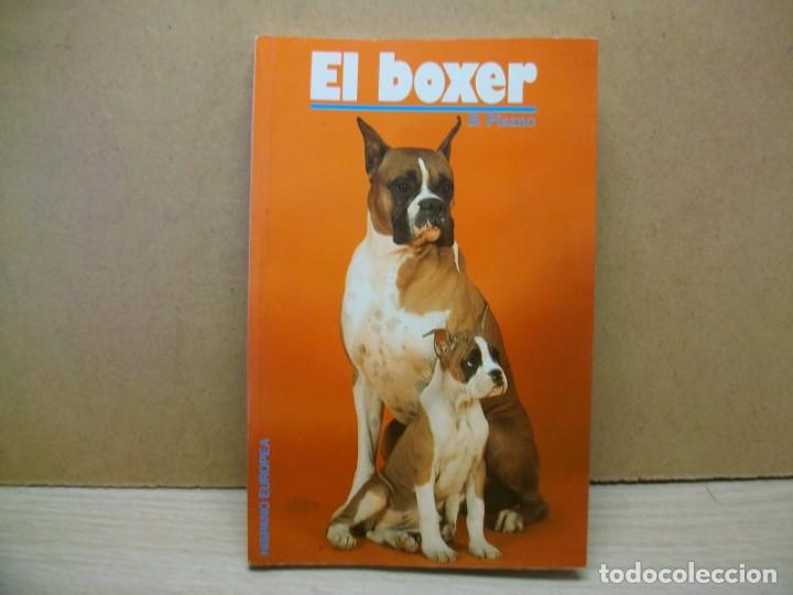 Fotograf&iacute;a antigua: El boxer -1997 de Beverly Pisano - Foto 1