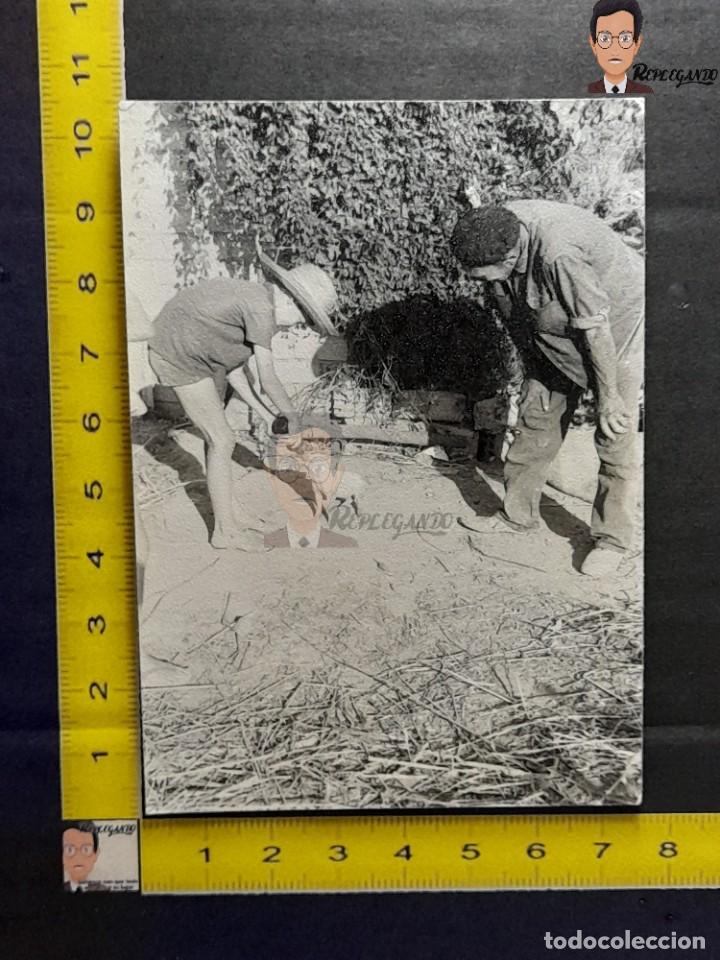 Alte Fotografie: NI&Ntilde;O D&Aacute;NDOLE UN BIBER&Oacute;N DE LECHE A UN CERDITO / FOTO ANTIGUA EN BLANCO Y NEGRO - A&Ntilde;OS 60/70 - CERDO