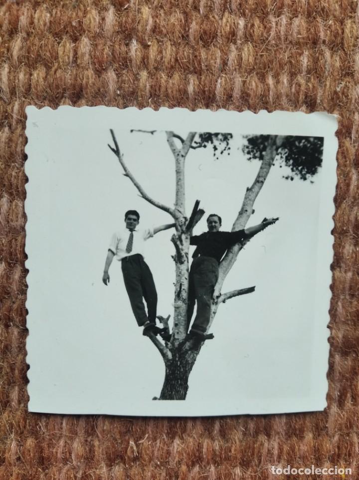 Fotografia antiga: SE&Ntilde;ORES POSANDO EN UN ARBOL