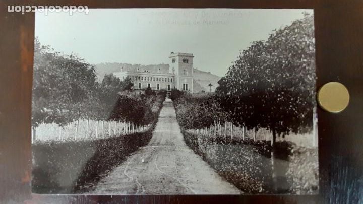 Fotograf&iacute;a antigua: Impresionante fotograf&iacute;a imagen dela avenida principal al palacio de Marianao en Sant Boi de Llo