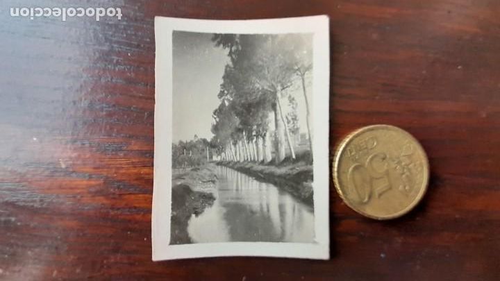 Antique Photography: Fotograf&iacute;a hist&oacute;rica canal de la Dreta del Llobregat en Sant Boi de LLobregat con plataneros a&ntilde;os 30