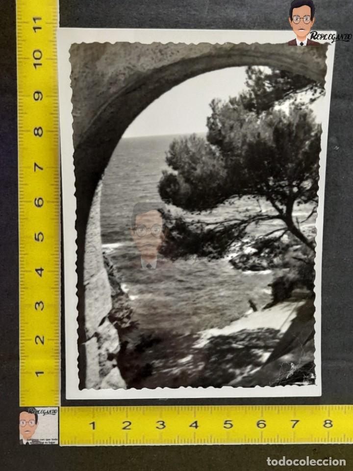 Antique Photography: UN PINO JUNTO AL MAR / ARCO DE PIEDRA Y &Aacute;RBOL / FOTO ANTIGUA ART&Iacute;STICA - A&Ntilde;OS 50 - ESPA&Ntilde;A