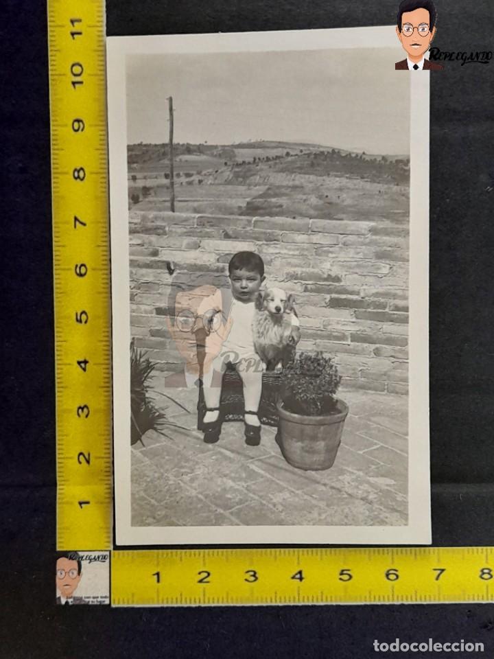 Antique Photography: NI&Ntilde;O SENTADO CON SU PERRO EN SILLA DE MIMBRE - FOTO ANTIGUA A&Ntilde;OS 50/60 - MACETAS FLORES - ESPA&Ntilde;A