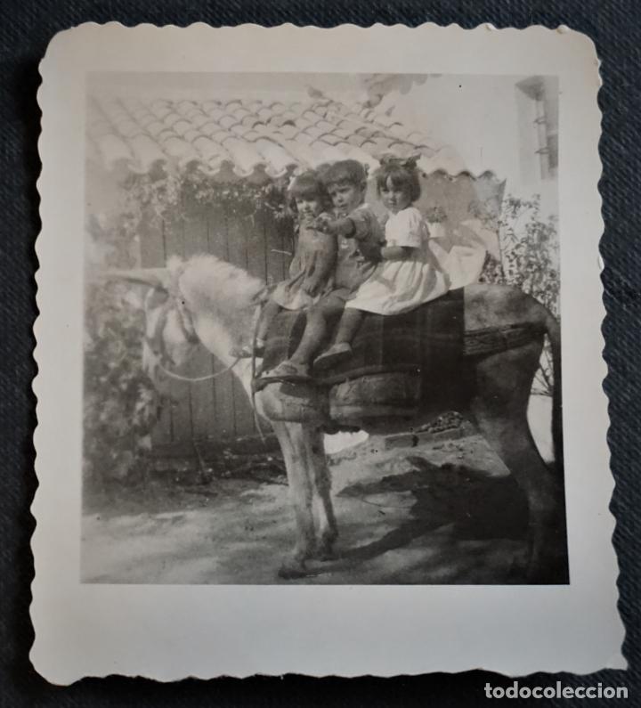 Alte Fotografie: Fotograf&iacute;a realizada en el a&ntilde;o 1953, en Berruga (Mieres, Asturias), medidas 6 x 7 cm
