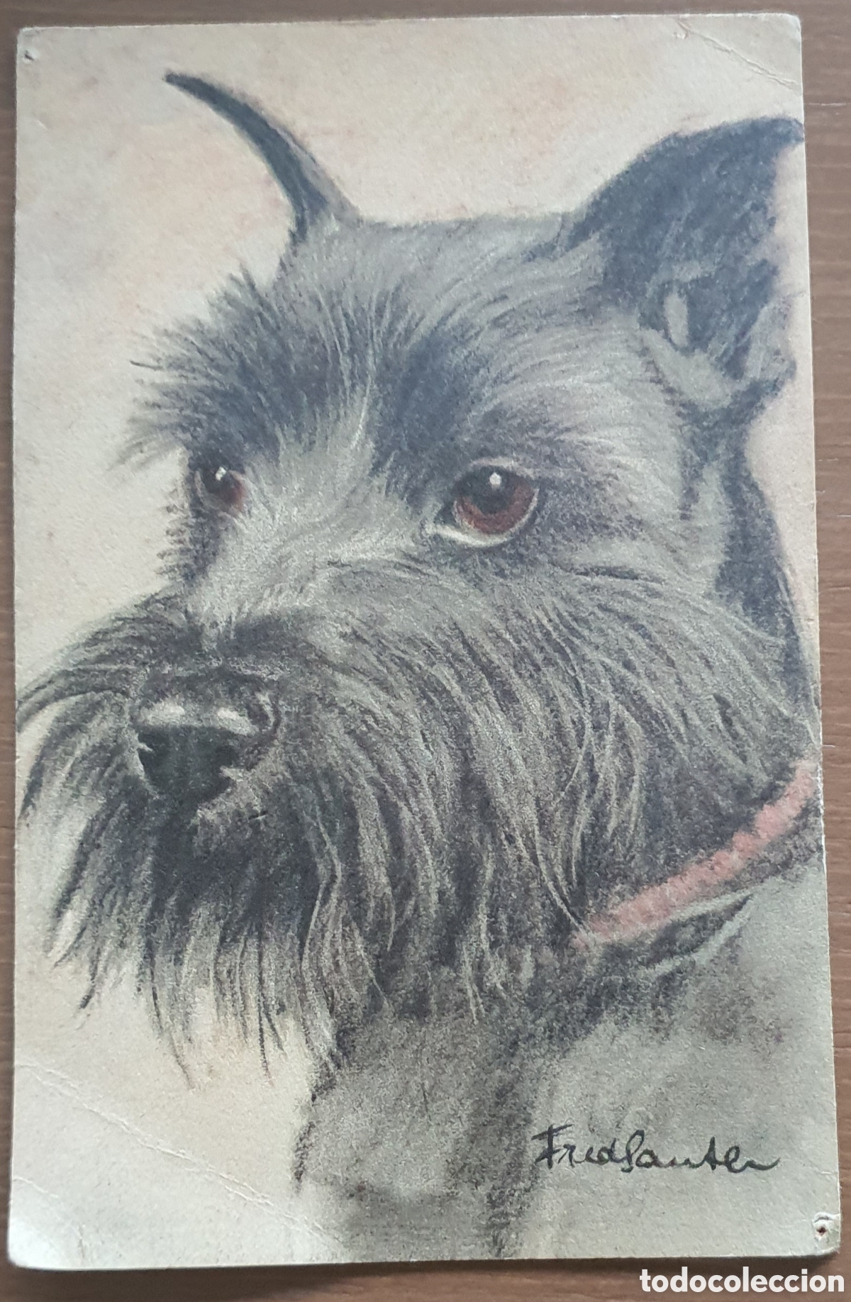 Fotograf&iacute;a antigua: COLECCI&Oacute;N POSTAL RAZAS PERROS - Foto 4