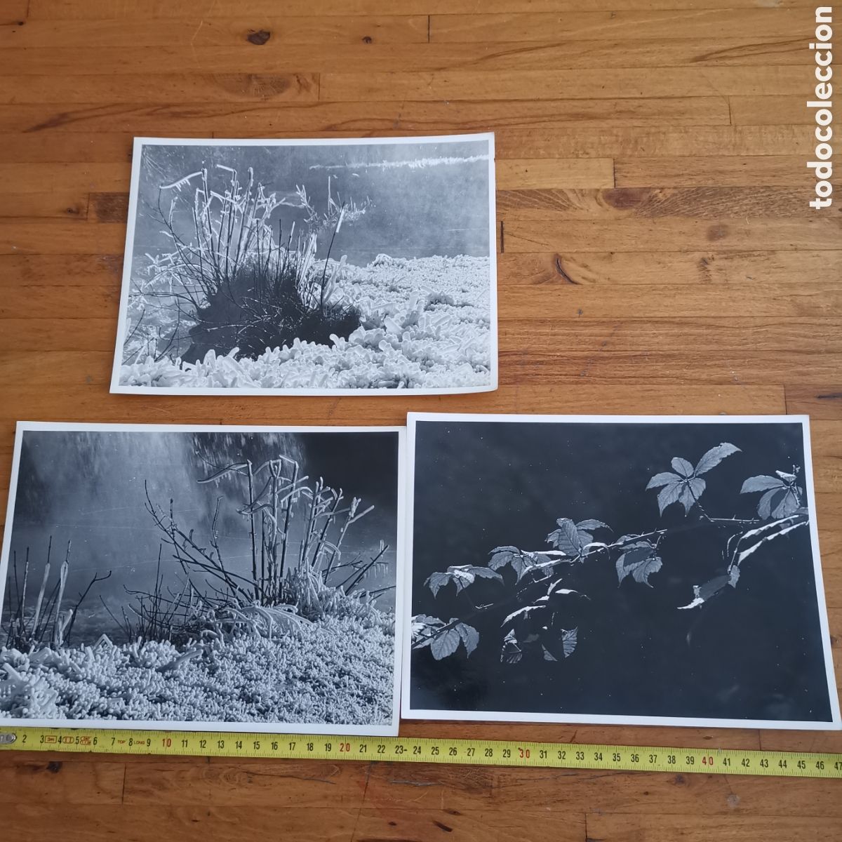 Photographie ancienne: 3 Fotograf&iacute;as de Sall&eacute;s, Salas. France Francia 1979. C&aacute;mara Pentax K1000