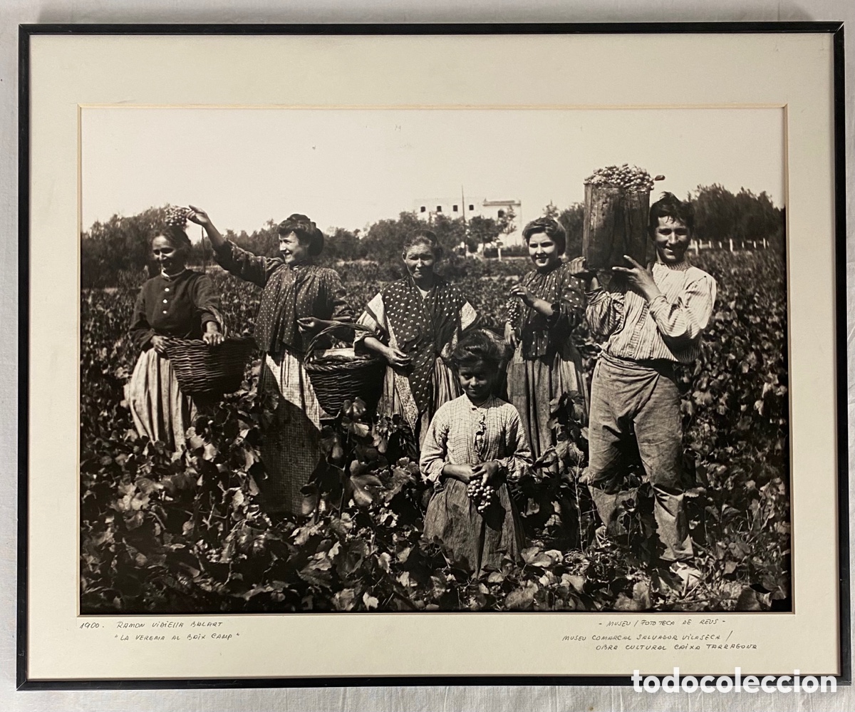 Fotograf&iacute;a antigua: RAMON VIDIELLA BALART - 1900 - LA VEREMA AL BAIX CAMP - FOTOGRAFIA - 31,5 CM X 43 CM.