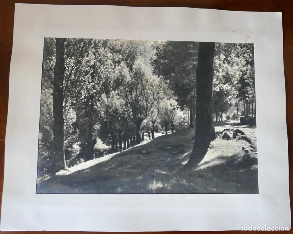 Fotograf&iacute;a antigua: FOTO BLANCO Y NEGRO- PAISAJE
