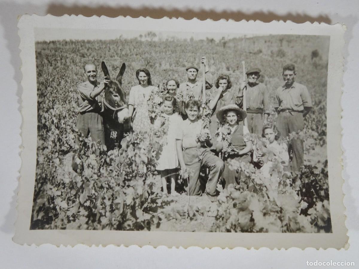 Fotograf&iacute;a antigua: ANTIGUA FOTOGRAF&Iacute;A GRUPO PERSONAS, AGRICULTORES, VILAJUIGA, TAMA&Ntilde;O PEQUE&Ntilde;O, VER FOTOS