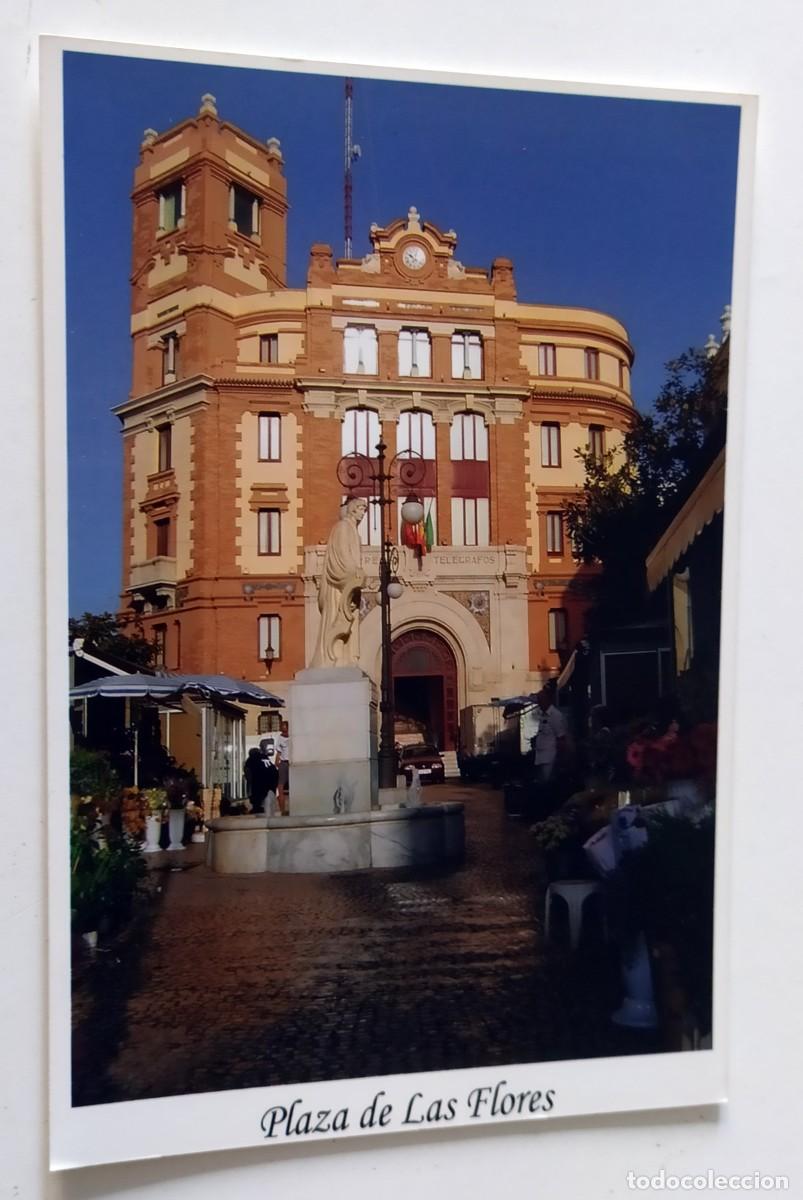 Fotograf&iacute;a antigua: FOTOGRAFIA C&Aacute;DIZ - PLAZA DE LAS FLORES - EDIFICIO DE CORREOS - Foto 1