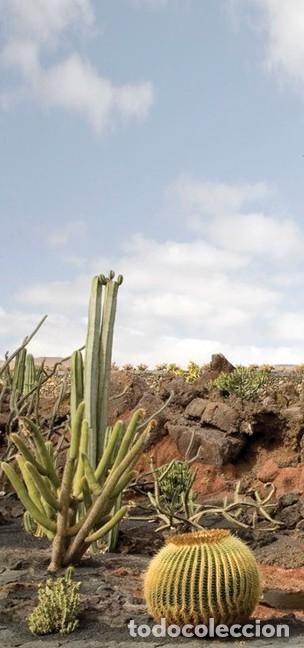 Fotograf&iacute;a antigua: CIUCO GUTIERREZ - Desserts. Lanzarote - Foto 4