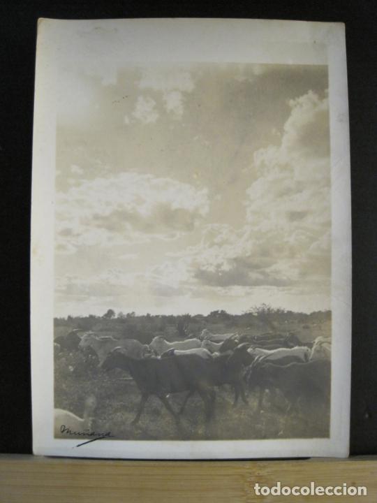 Photographie ancienne: MEXICO - FOTO MU&Ntilde;ANA -FOTOGRAFIA ANTIGUA-VER FOTOS-(K-9846)