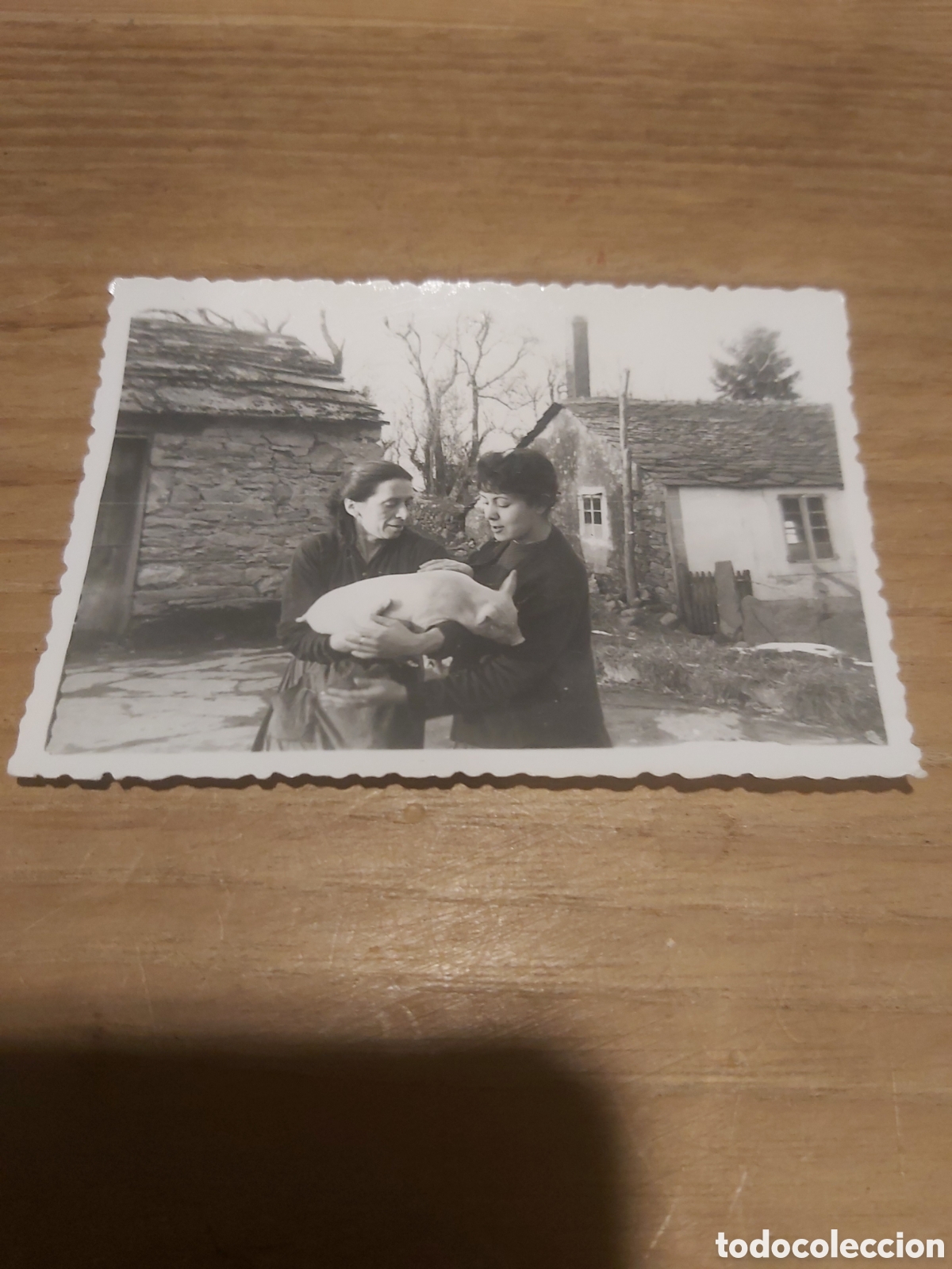 Fotografia antica: Foto popular cerdito Galicia Ver mis lotes postales Galicia