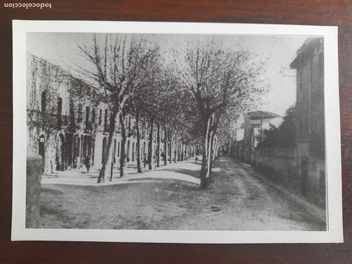 Antique Photography: Reproduccion fotograf&iacute;ca finales del XIX de la antigua rambla Maluquer Sant Boi de Llobregat