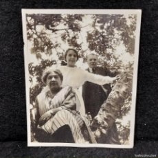 Fotografía antigua: ANTIGUA FOTOGRAFIA POSTAL - FAMILIA EN LO ALTO DE UN ARBOL - C. 1900 - 10 CM / 129