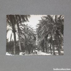 Fotografía antigua: PASEO SAGRERA, PALMA DE MALLORCA, AÑOS 60