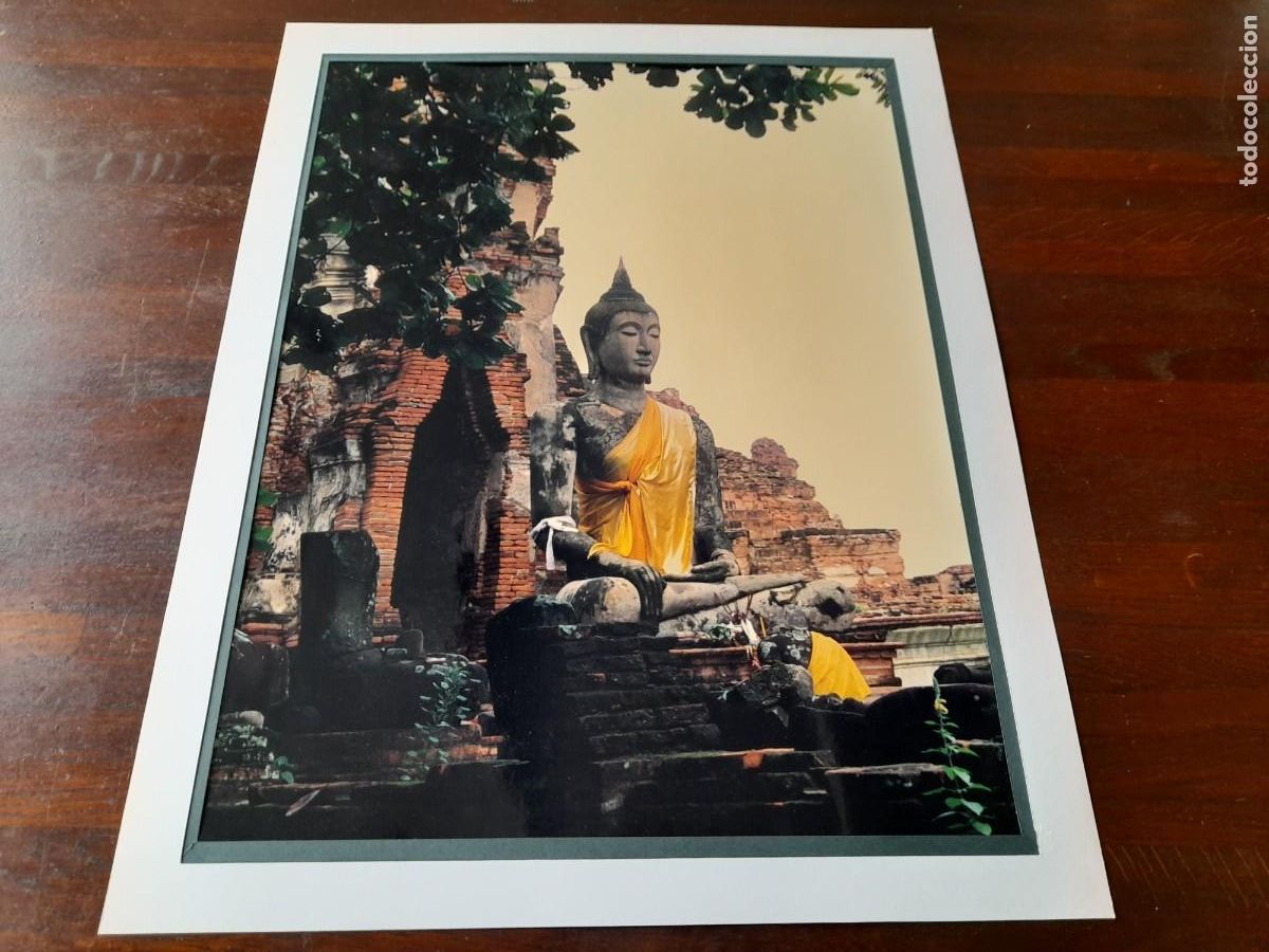 Fotograf&iacute;a antigua: Foto poster escultura de Buda en ruinas de Ayutthaya antiguo reino de Siam actual Tailandia.