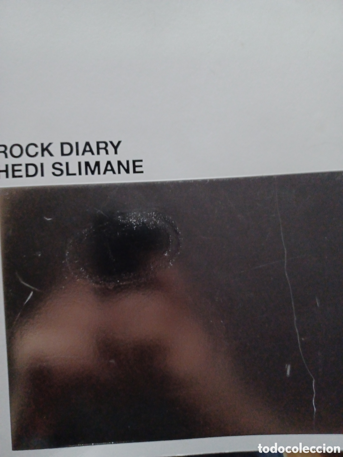 Fotograf&iacute;a antigua: Barybook 109. Rok Diary Hedi Slimane