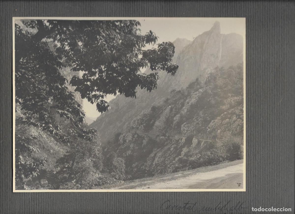 Fotograf&iacute;a antigua: ARENAS DE CABRALES - Foto 1