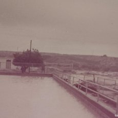 Fotografía antigua: FOTOGRAFÍA DESASTRE NATURAL INUNDACIONES POR LLUVIA - ALICANTE - 19 OCTUBRE 1982 - SEPIA - DIFÍCIL