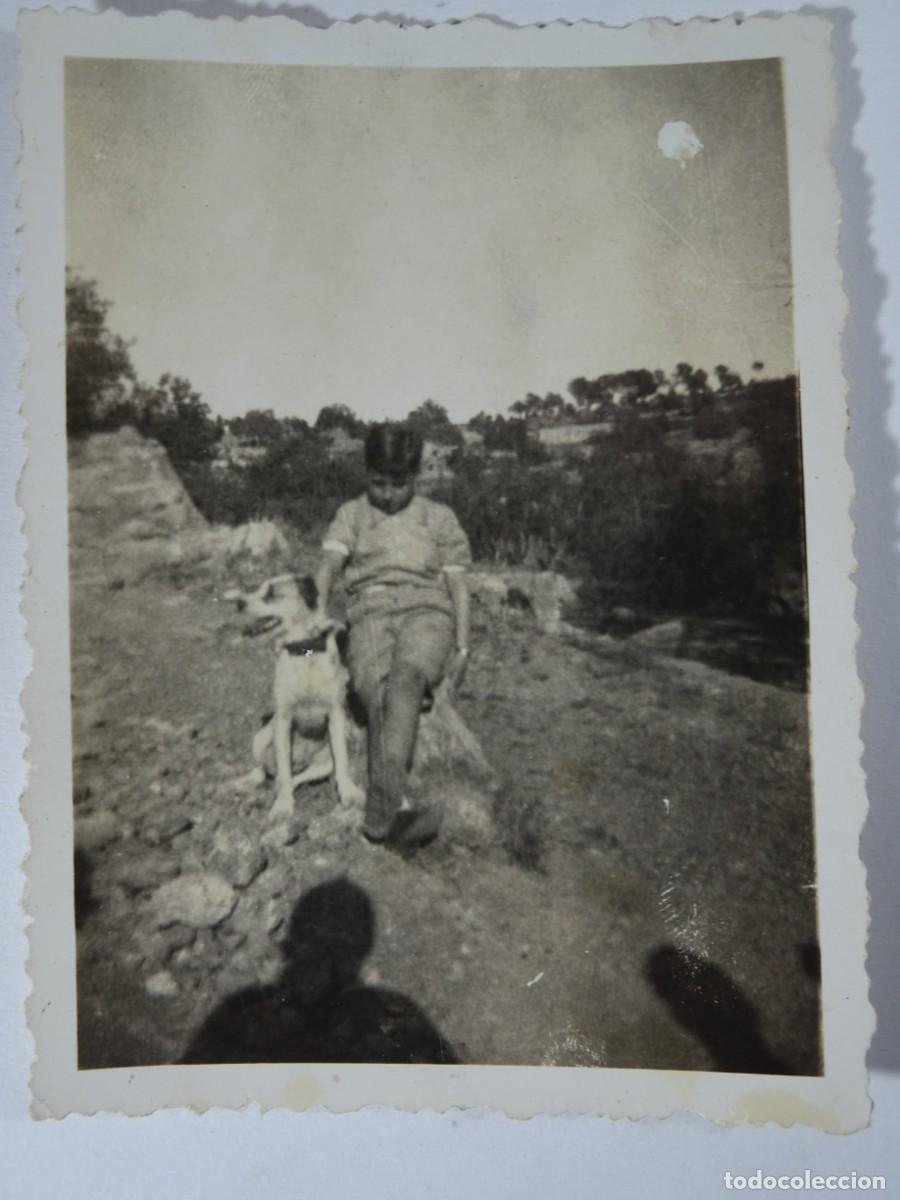 Photographie ancienne: ANTIGUA FOTOGRAF&Iacute;A , NI&Ntilde;O CON PERRO, VER FOTOS