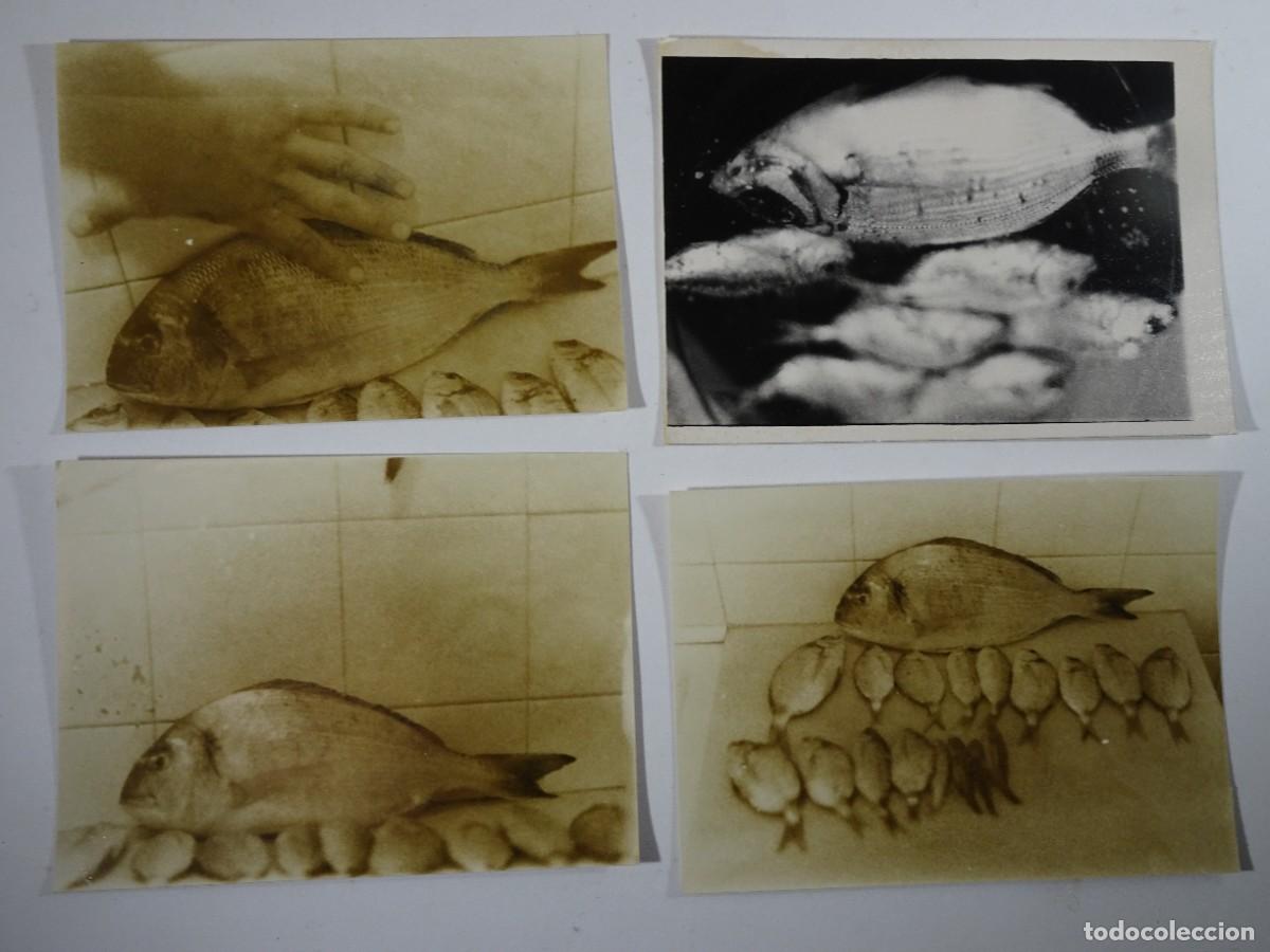 Fotograf&iacute;a antigua: 4 ANTIGUAS FOTOGRAF&Iacute;AS DE PECES, VER FOTOS