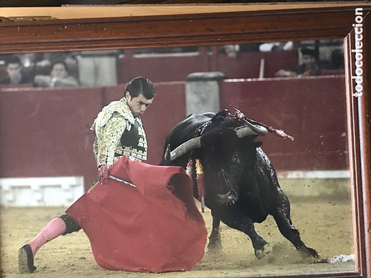 Fotograf&iacute;a antigua: Gran fotografia enmarcada FAENA TAURINA medidas 52x37 con marco