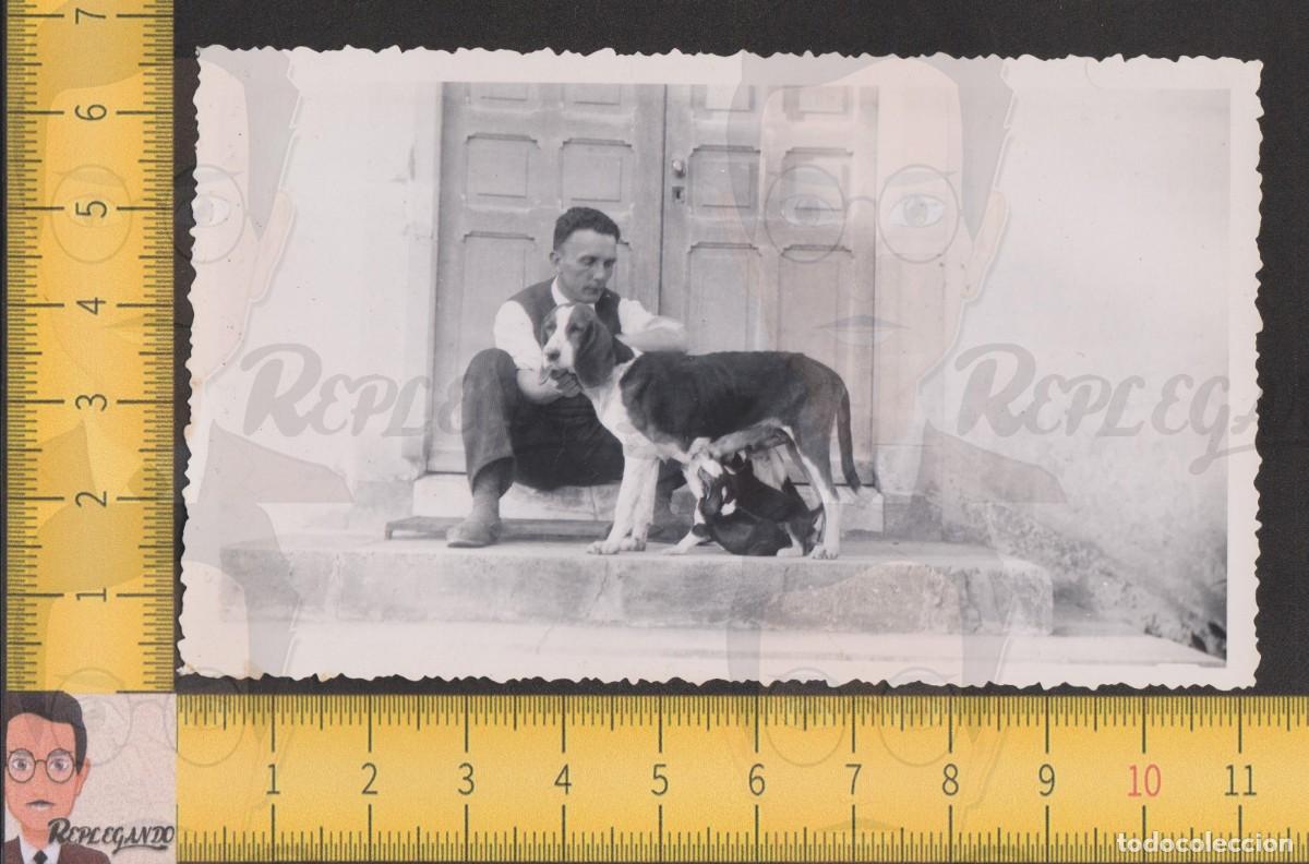 Fotografia antica: HOMBRE Y PERRA AMAMANTANDO A SUS CACHORROS - PERRO CAZA - FOTO ANTIGUA A&Ntilde;OS 40 - ESPA&Ntilde;A