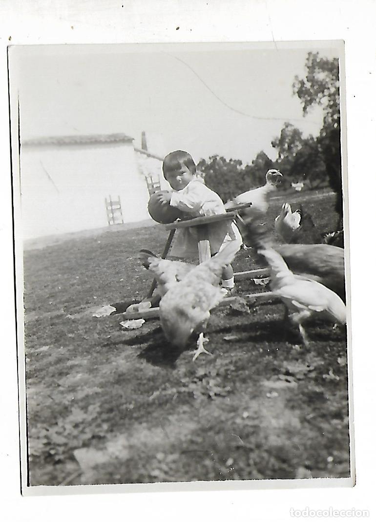 Fotograf&iacute;a antigua: FOTOGRAFIA ANTIGUA DE UNA NI&Ntilde;A CON LAS GALLINAS
