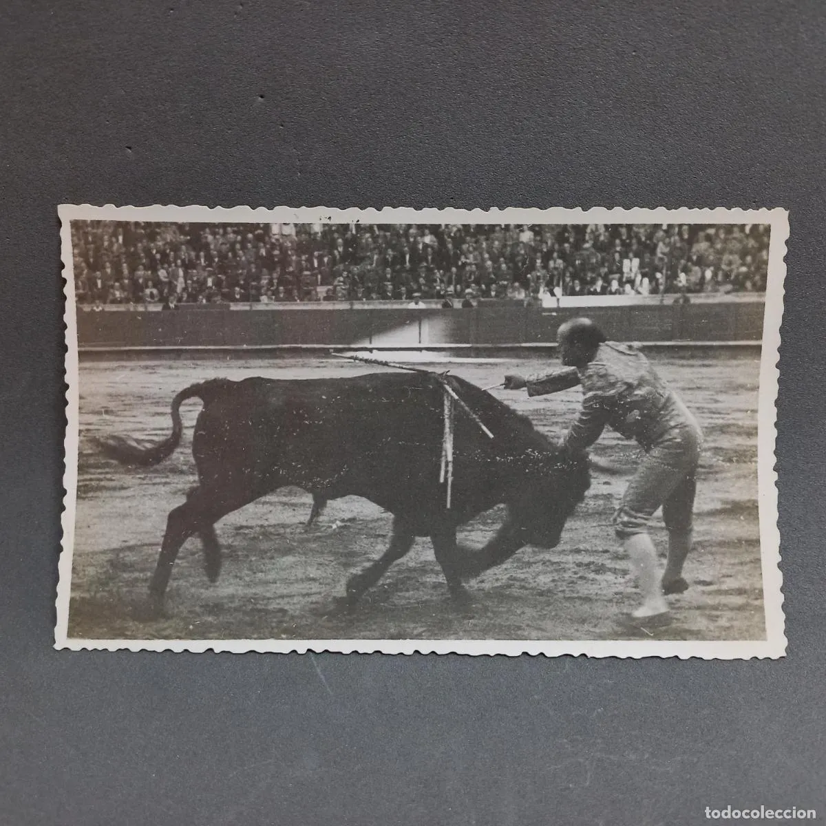 Antigua fotografía del torero Nicanor Villalta y Serrés dando el estoque. Tauromaquia. Año 1942