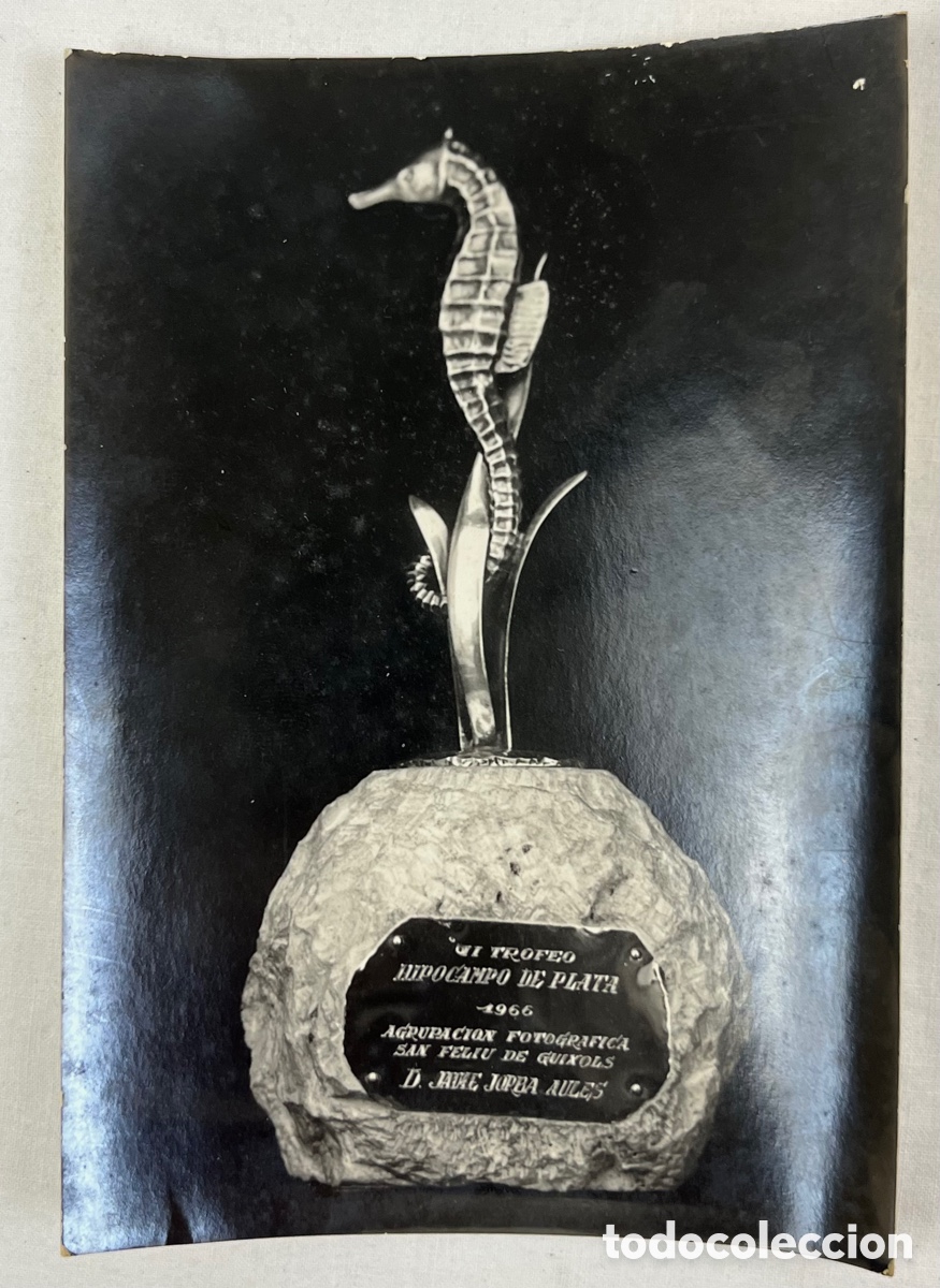 Fotograf&iacute;a antigua: FOTOGRAF&Iacute;A TROFEO HIPOCAMPO DE PLATA - 1966 - AGRUPACI&Oacute;N FOTOGRAF&Iacute;CA SANT FELIU DE GUIXOLS