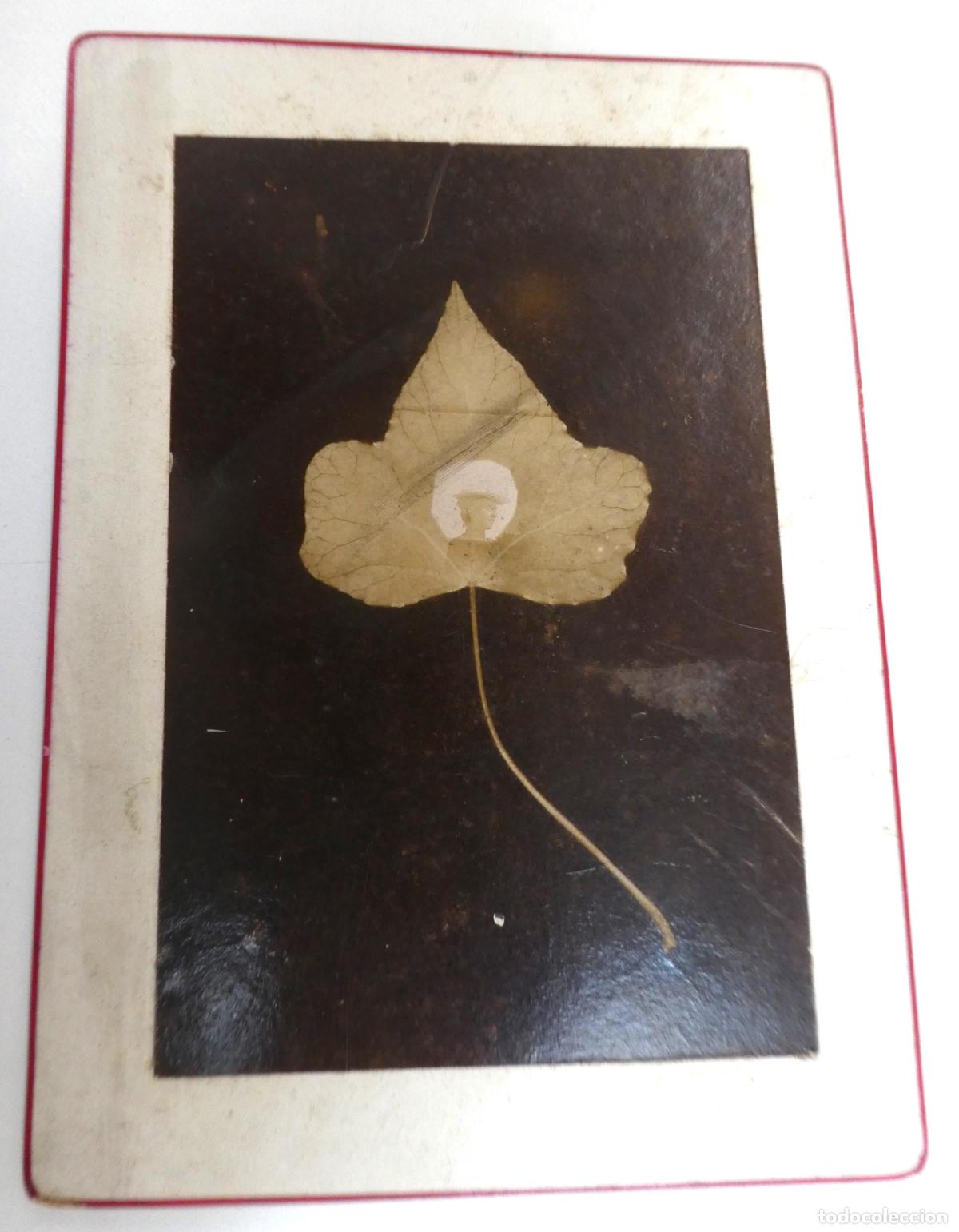 Fotograf&iacute;a antigua: VIEJA FOTOGRAFIA EN CARTONCITO