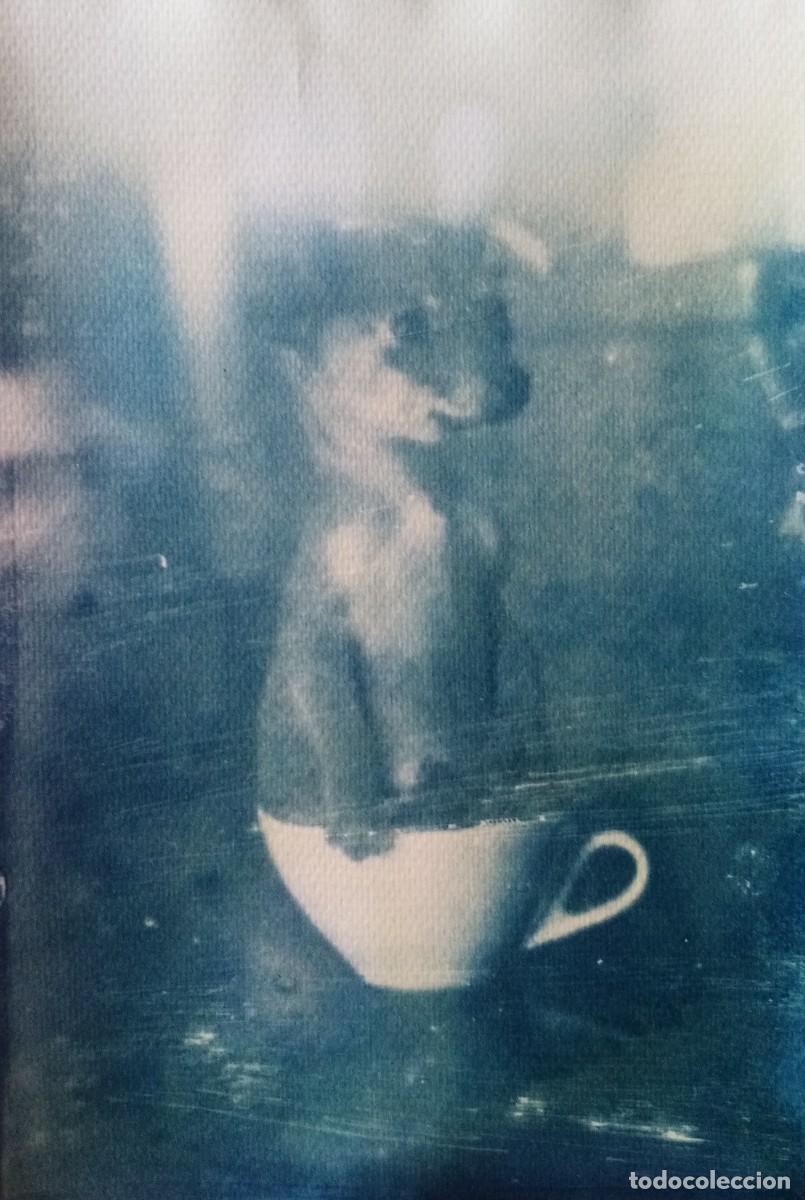 Fotografia antiga: Cianotipia Sin titulo Formato A4(10)