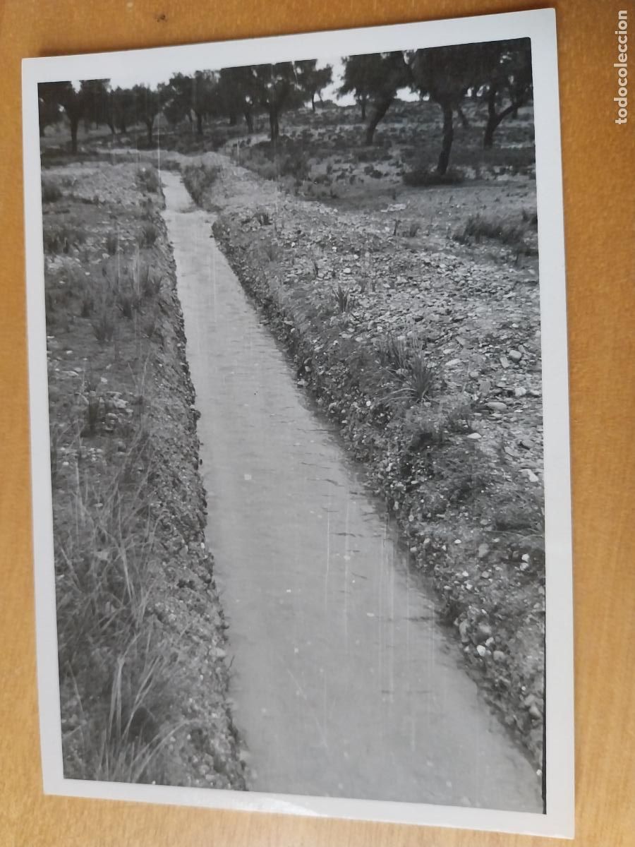 Fotograf&iacute;a antigua: EXTREMADURA CACERES BADAJOZ CANAL ORELLANA INS NAL COLONIZACION A&Ntilde;OS 50 FOTO 10X7CM CANAL