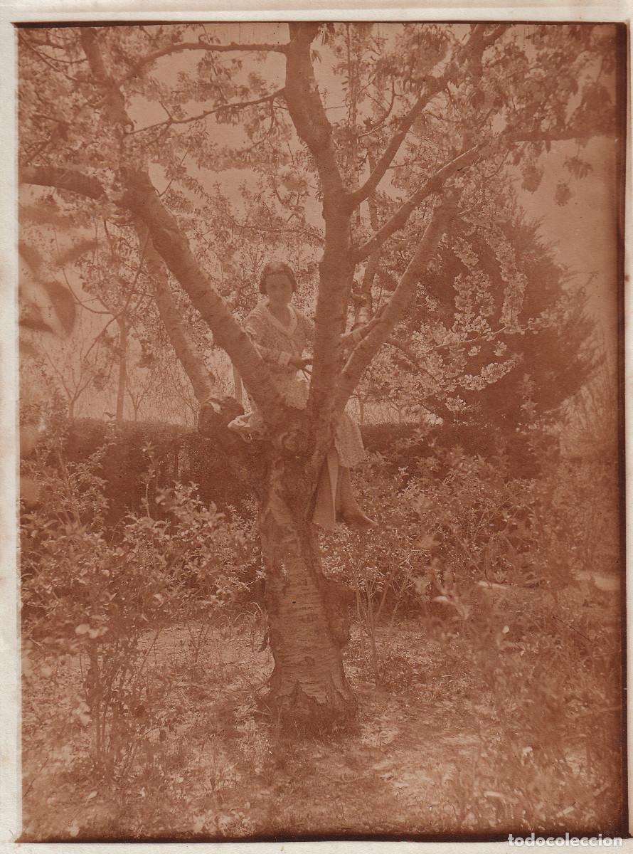 Antique Photography: Alb&uacute;mina? Antigua fotograf&iacute;a de ambiente buc&oacute;lico. Dama subida a un &aacute;rbol. 1910-20 oc