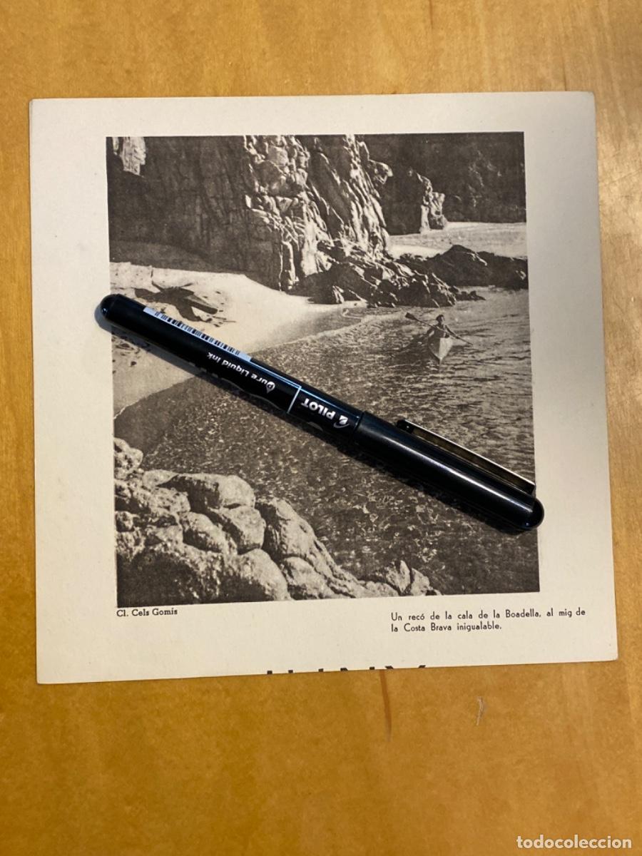 Fotograf&iacute;a antigua: LAMINA CELS GOMIS. CALA BOADELLA 17X17 CM