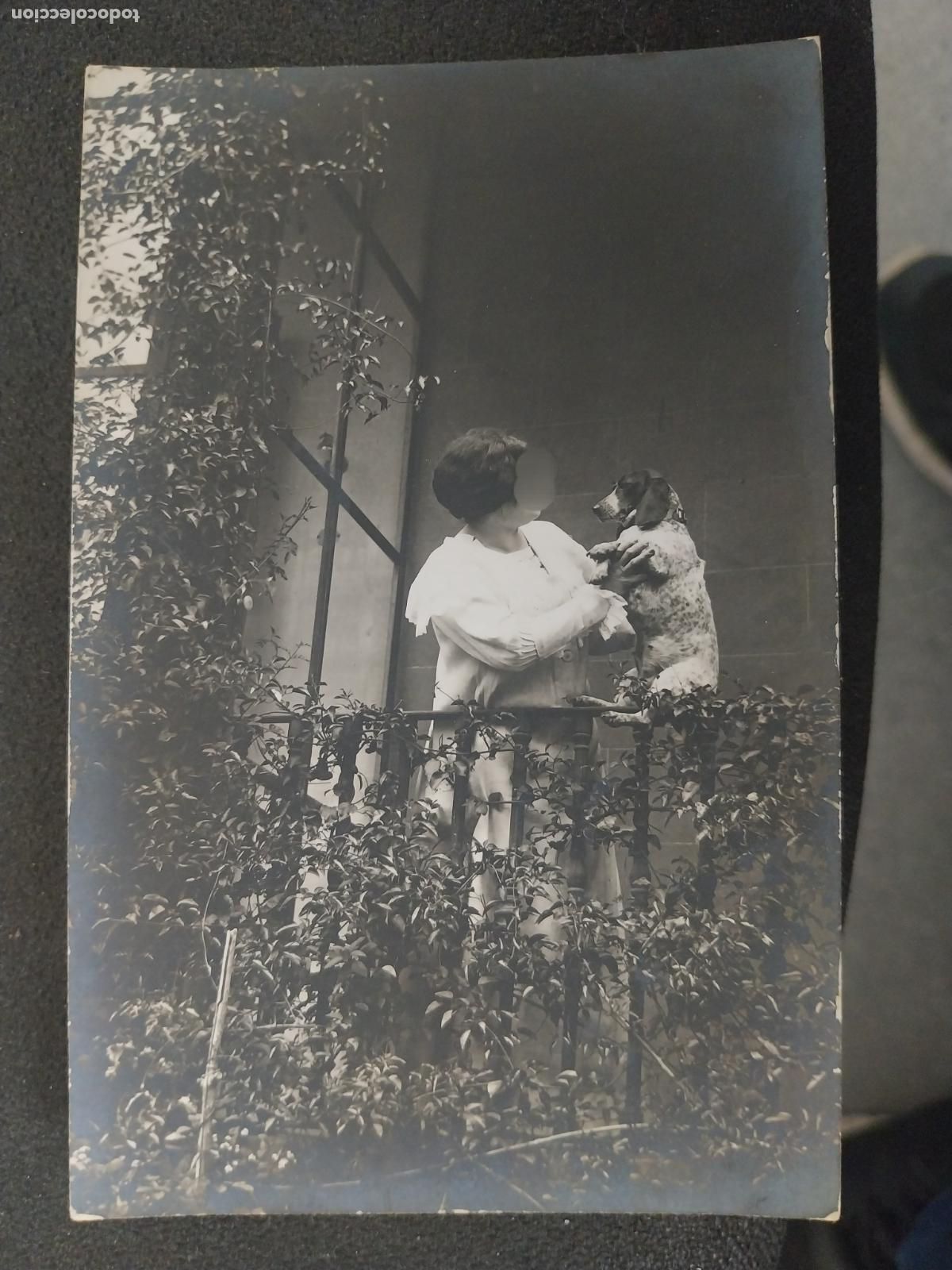 Alte Fotografie: DAMA TRAJE BLANCO PERRO FOTO POSTAL ESTUDIO SC 1915 APROX