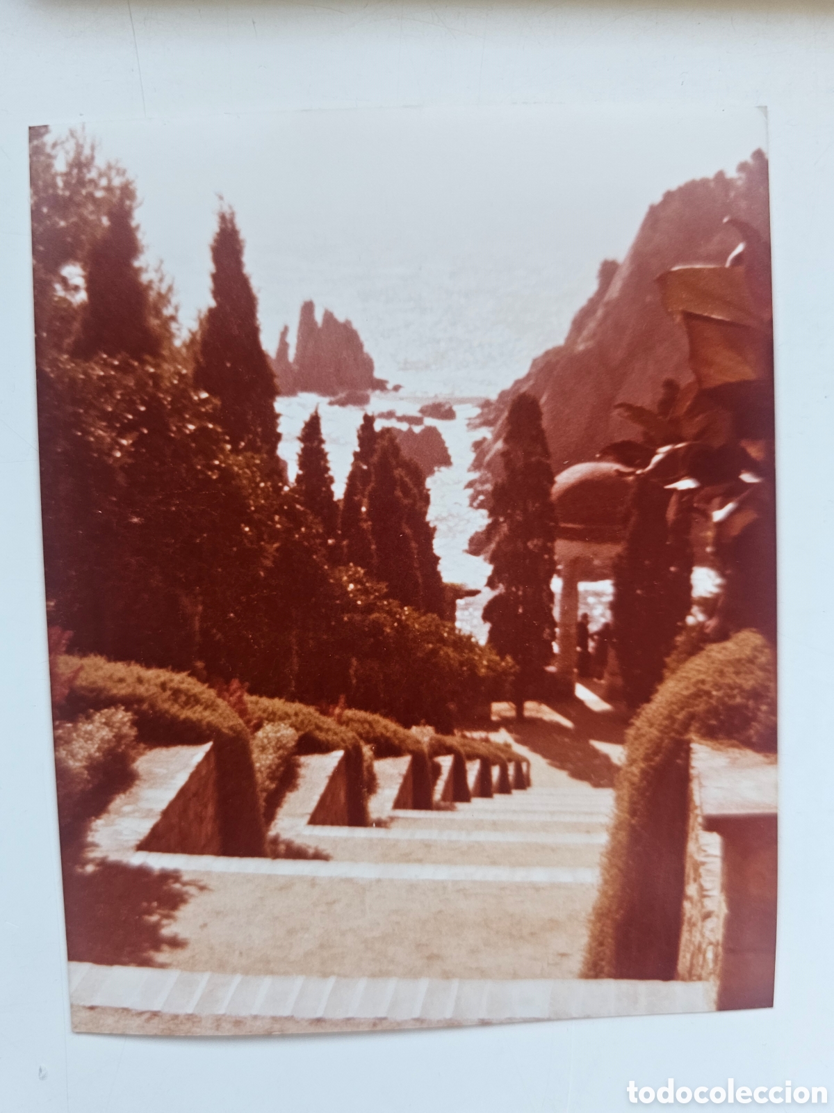 Fotograf&iacute;a antigua: Fotograf&iacute;a de los jardines Mar y Murtra de Blanes 1970s 1980s