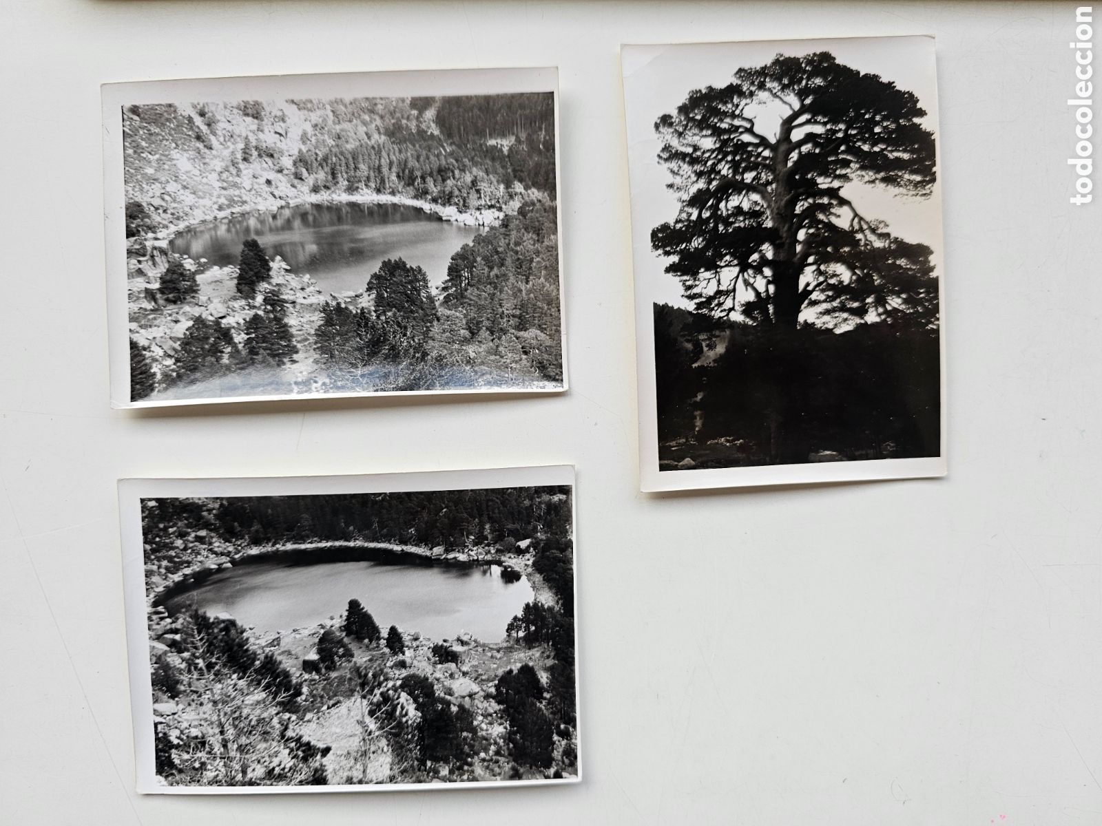 Antique Photography: 3 fotograf&iacute;as de Llac Negre, Vall de Bo&iacute; de 1960s