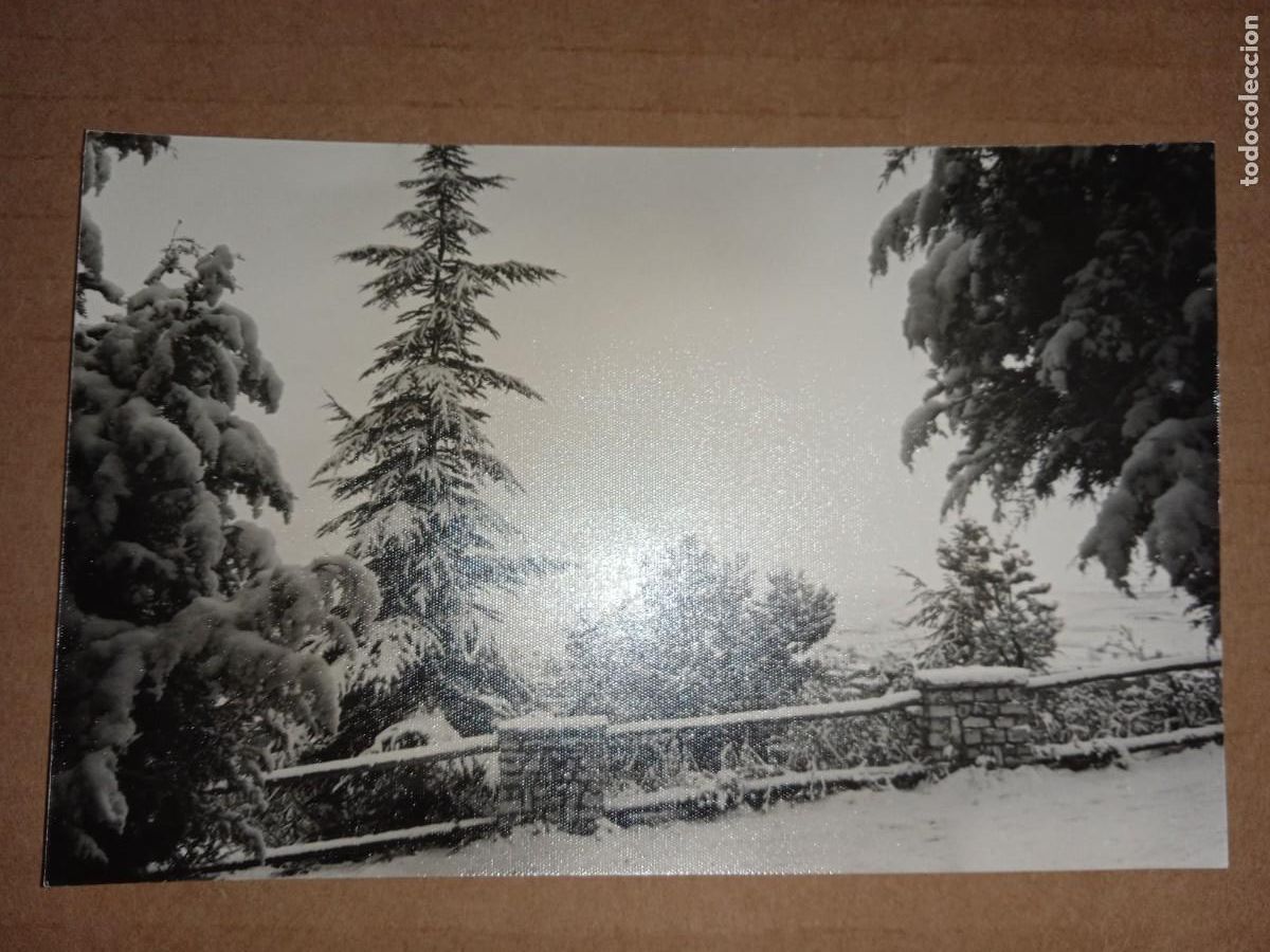 Fotograf&iacute;a antigua: FOTO ANTIGUA *PAISAJE NEVADO* A IDENTIFICAR