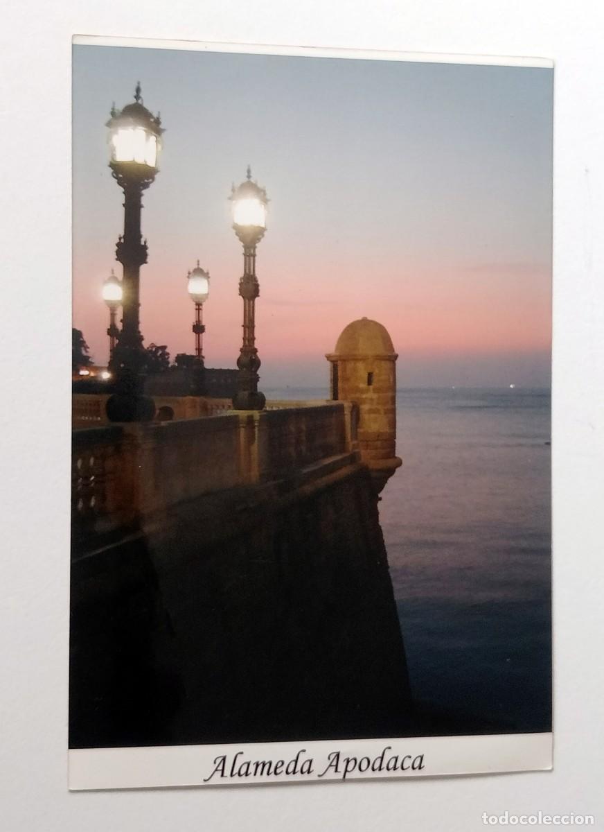 Antique Photography: FOTOGRAFIA C&Aacute;DIZ - ALAMEDA DE APODACA