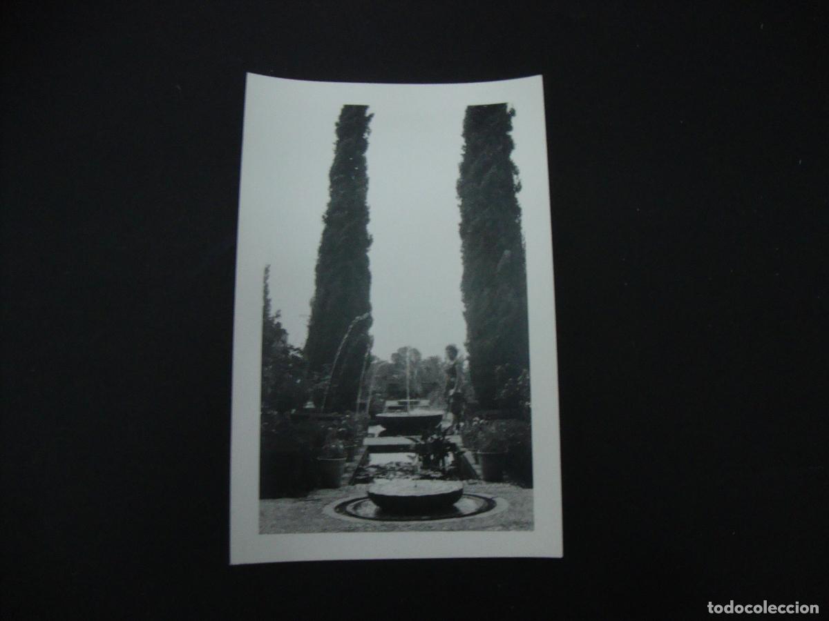 Fotograf&iacute;a antigua: FOTOGRAFIA GRANADA 1961 EL GENERALIFE - Foto 1