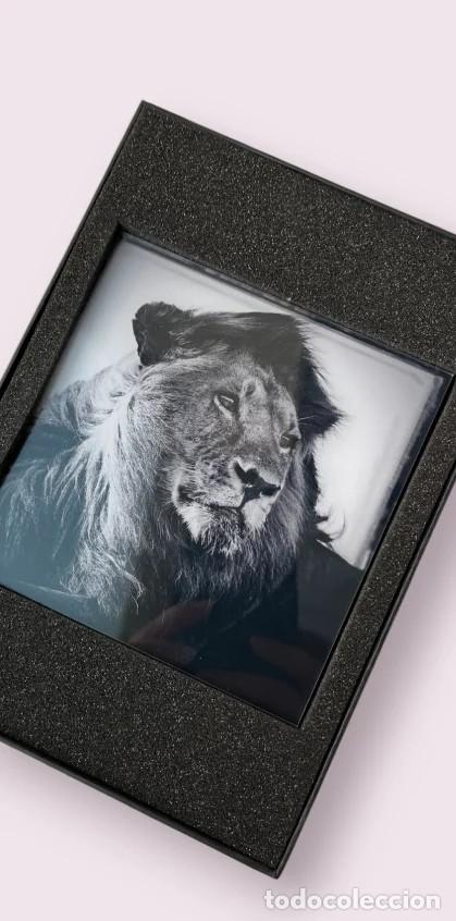Fotograf&iacute;a antigua: Fotograf&iacute;a Le&oacute;n Limitada Numerada - Foto 4